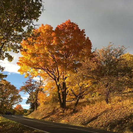 Lägenhet Hajovna Svahova Bolebor